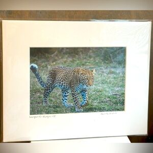 Signed Artist Professional Matted Cool Leopard Kenya Africa Photo Picture OOAK